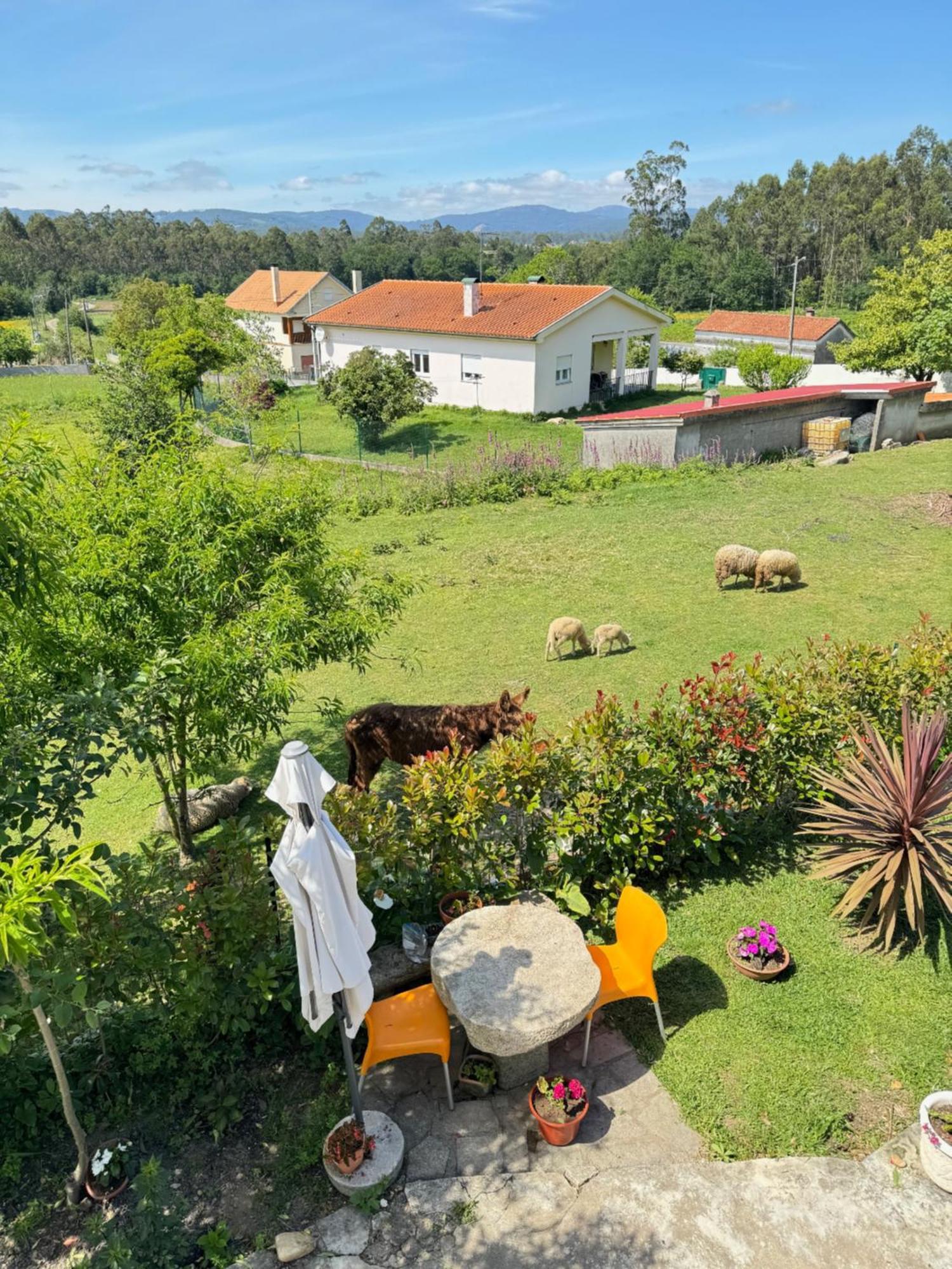 Quintinha Do Martins Leilighet Reboreda Eksteriør bilde